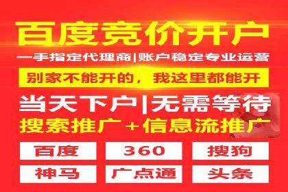 案例研究：SEM优化助力企业品牌建设